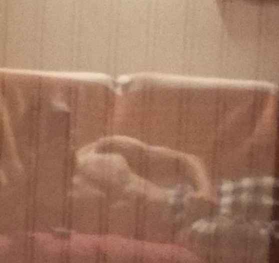 Nataniel - Moorslede - Flandre occidentale | Annonce Rencontre