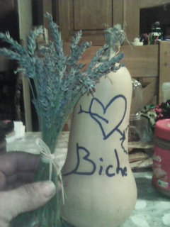 Son - Beveren-Kruibeke-Zwijndrecht - Flandre orientale | Annonce Rencontre