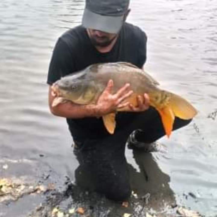 Lazar - Westerlo - Anvers | Annonce Rencontre