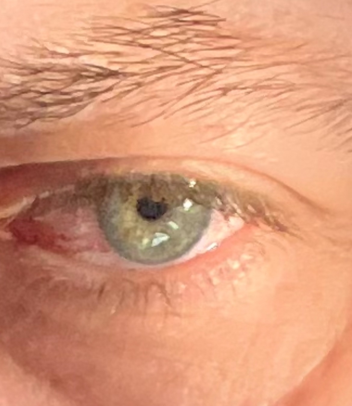 Mylhan - Grobbendonk - Anvers | Annonce Rencontre