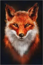 Edric - Denderleeuw - Flandre orientale | Annonce Rencontre